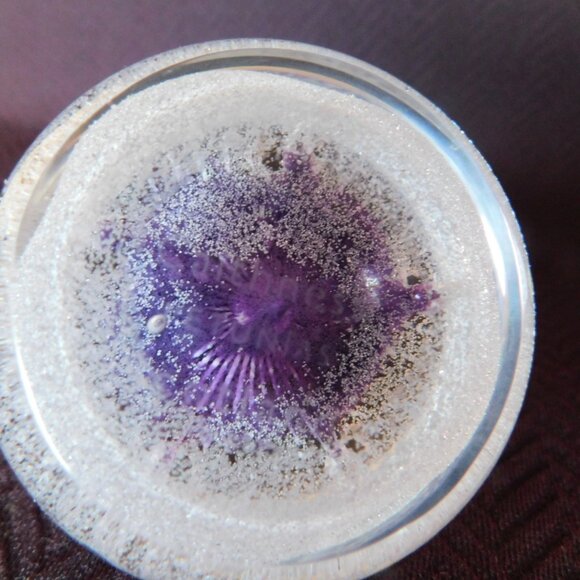 Caithness Scotland Petunias paperweight mint condition - Picture 5 of 11